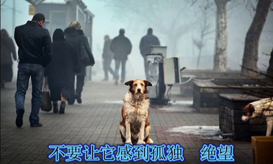 绵阳绵阳爱影圈微博微信转发案例